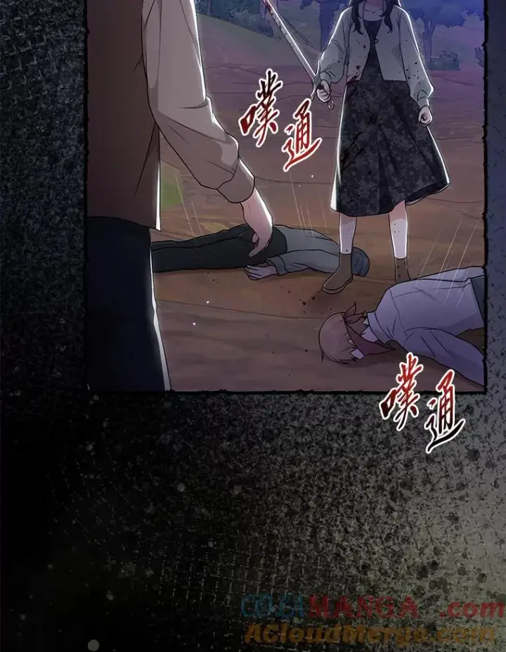 《完美演绎养女角色》69.薇欧拉的理由图41