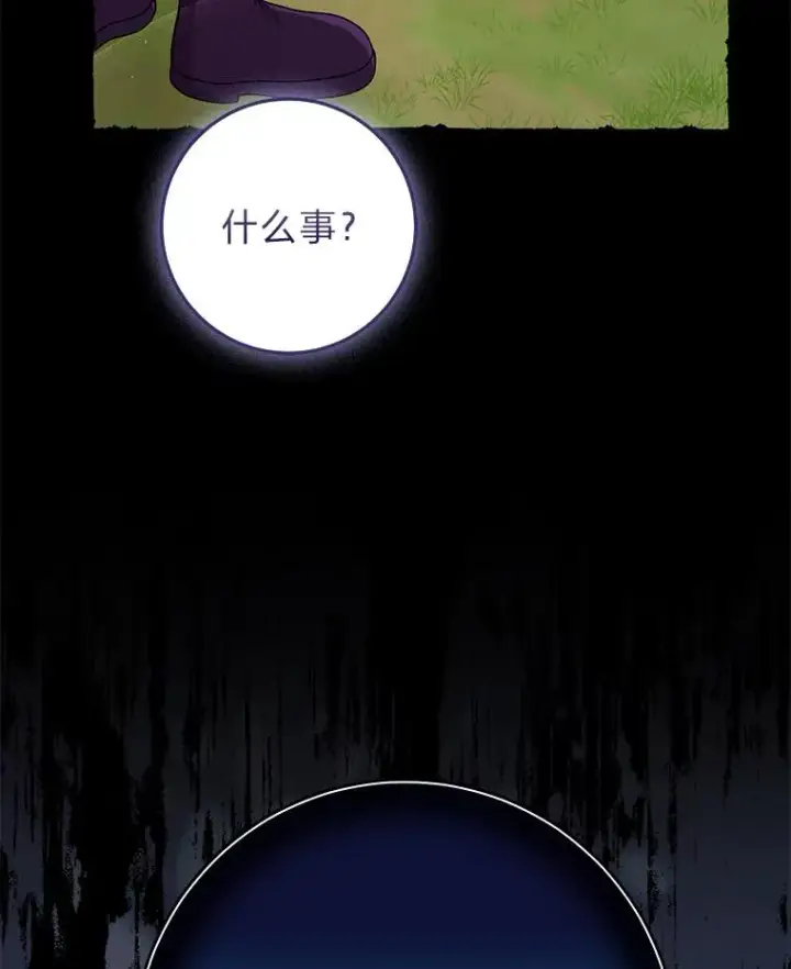 《完美演绎养女角色》69.薇欧拉的理由图99