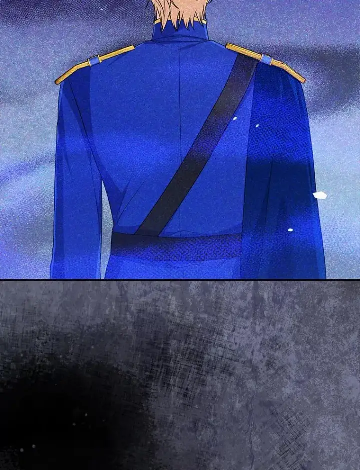 《完美演绎养女角色》72.礼服真正的主人图22