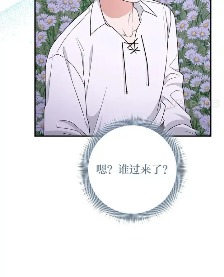 《完美演绎养女角色》75.在花田相遇图35