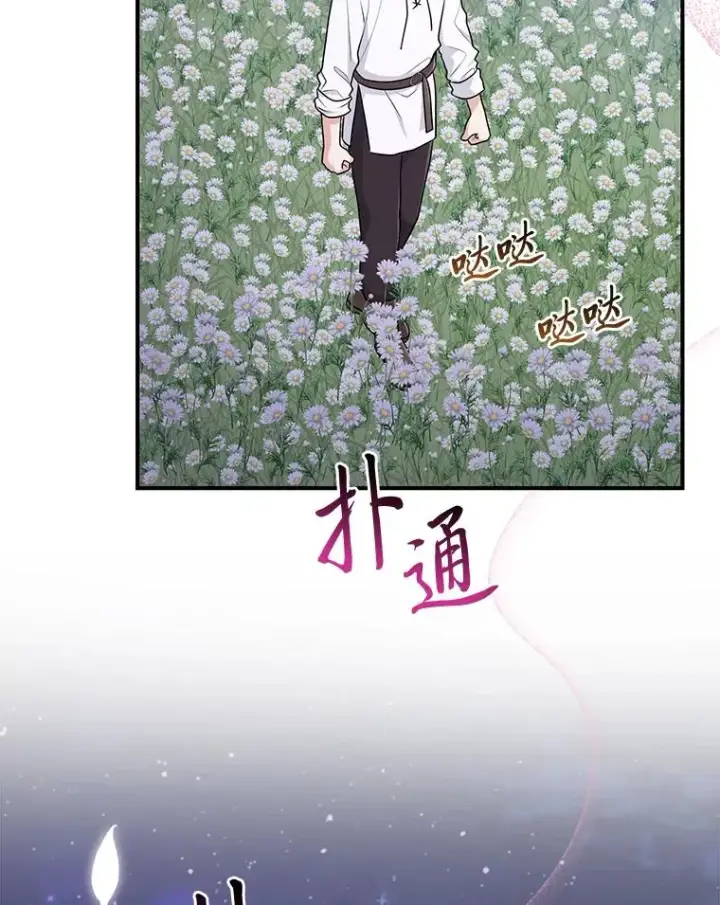 《完美演绎养女角色》75.在花田相遇图40