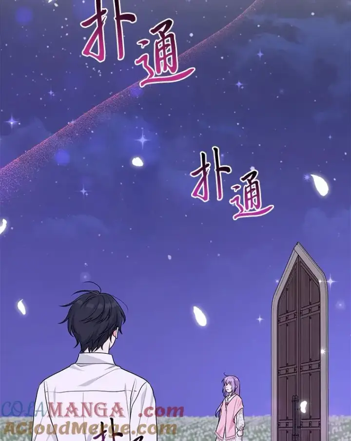 《完美演绎养女角色》75.在花田相遇图41