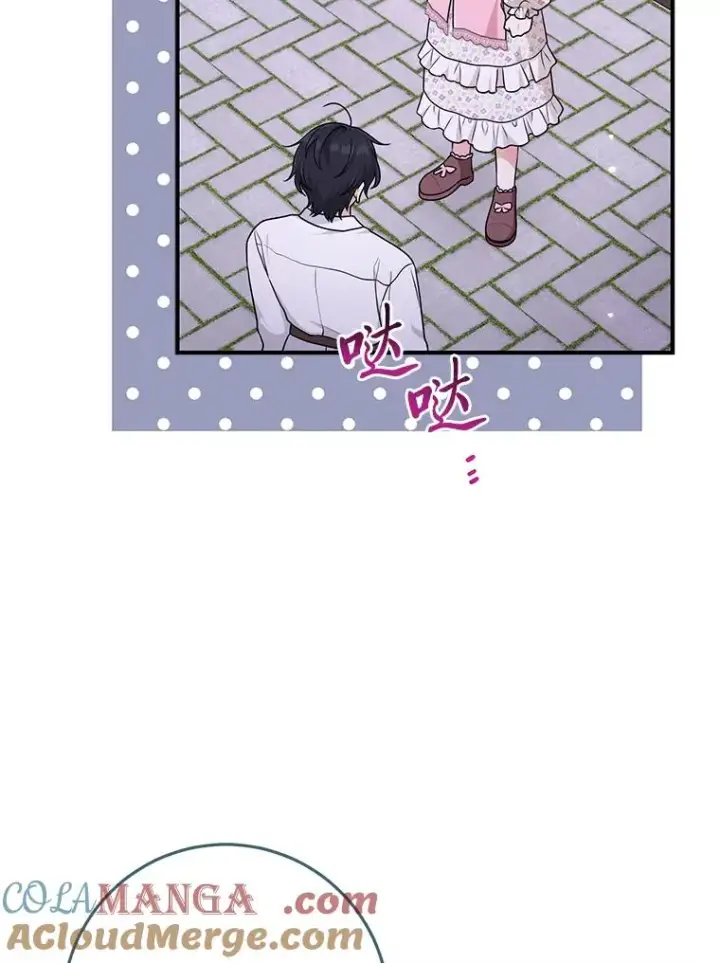 《完美演绎养女角色》75.在花田相遇图49