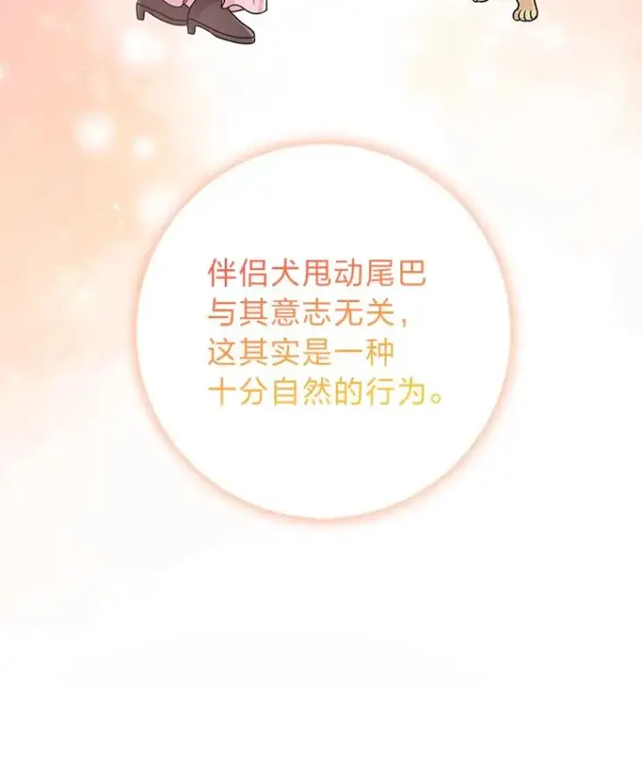 《完美演绎养女角色》75.在花田相遇图76