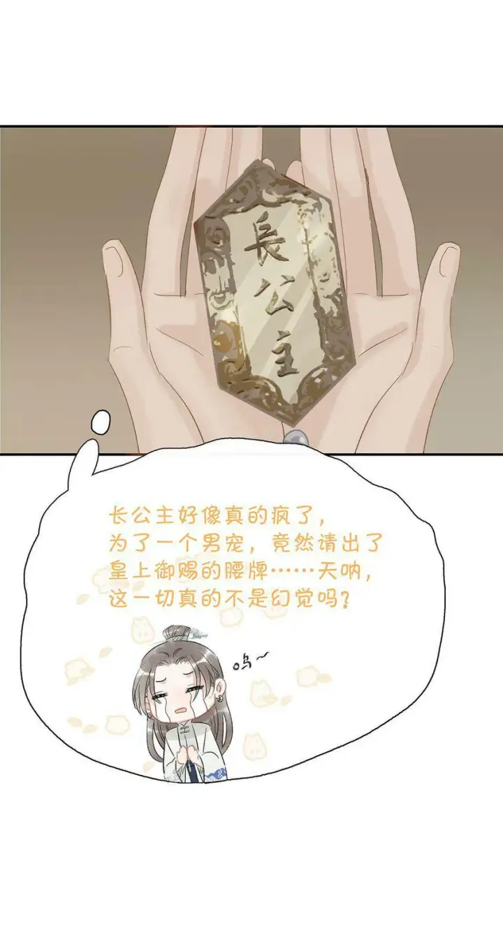 《危！恶毒长公主开始恋爱脑》005 真女主登场！图33