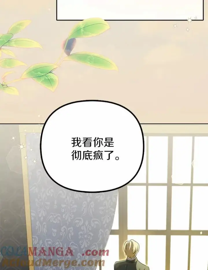 《为何执着于假妻子？》3.说服公爵图41