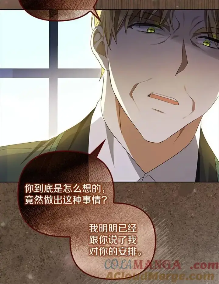 《为何执着于假妻子？》3.说服公爵图49