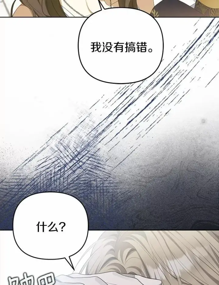 《为何执着于假妻子？》4.凯旋仪式图103