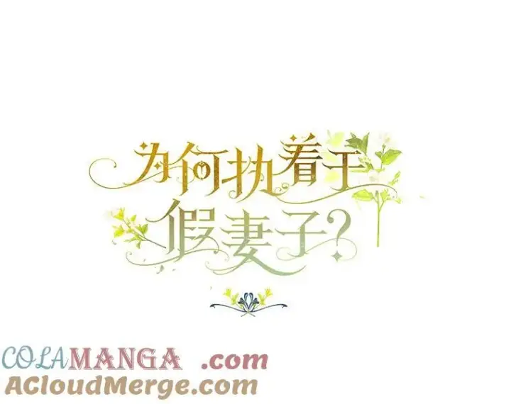 《为何执着于假妻子？》9.同房图29