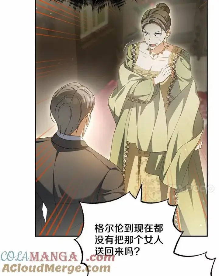 《为何执着于假妻子？》22.女仆助攻图17