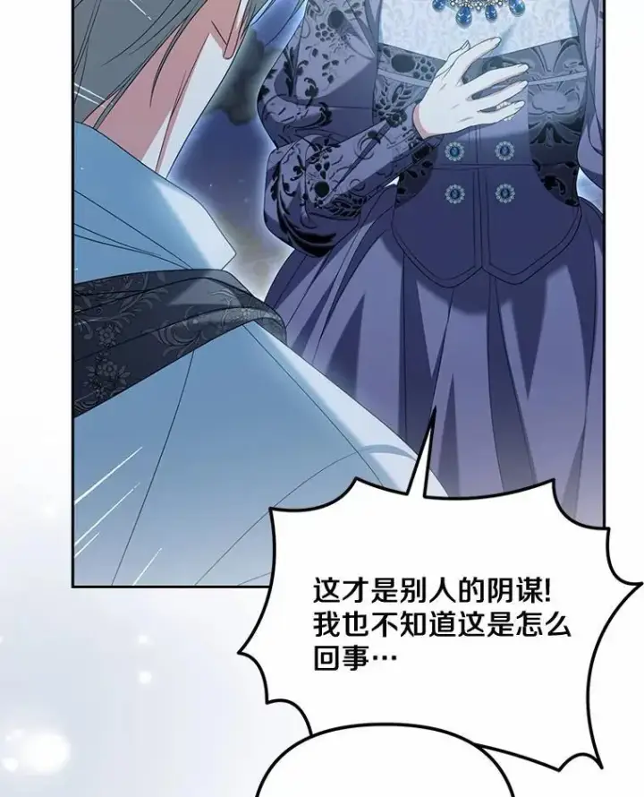 《为何执着于假妻子？》29.把她抓起来图63