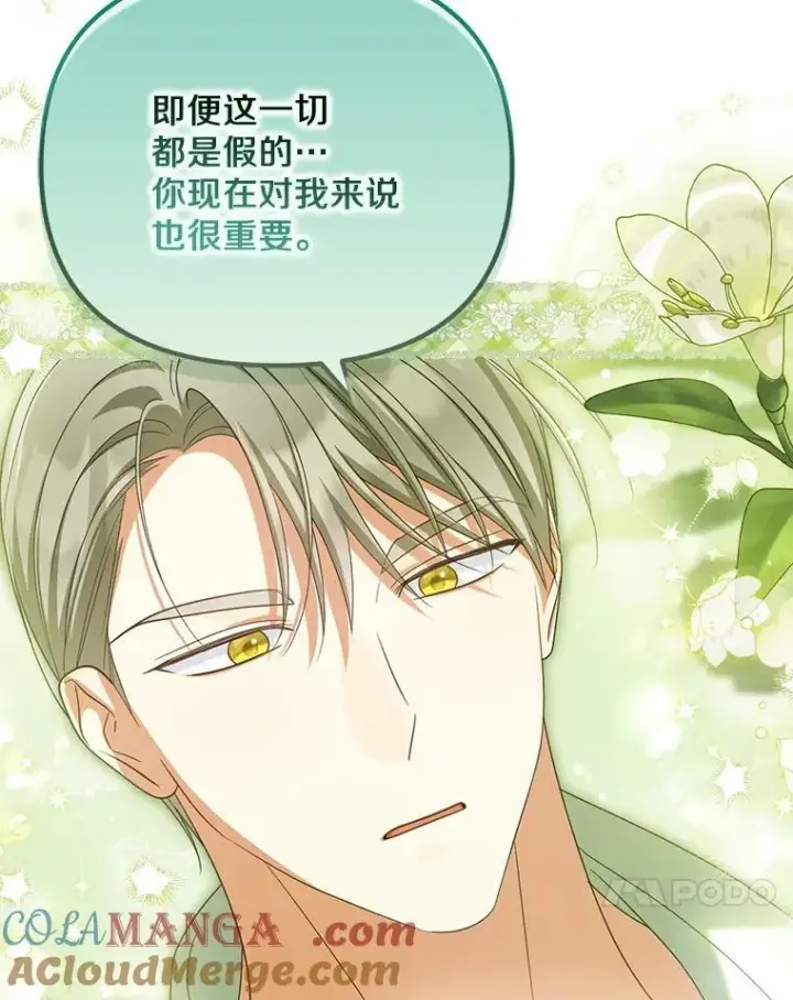 《为何执着于假妻子？》33.坦白真相图101
