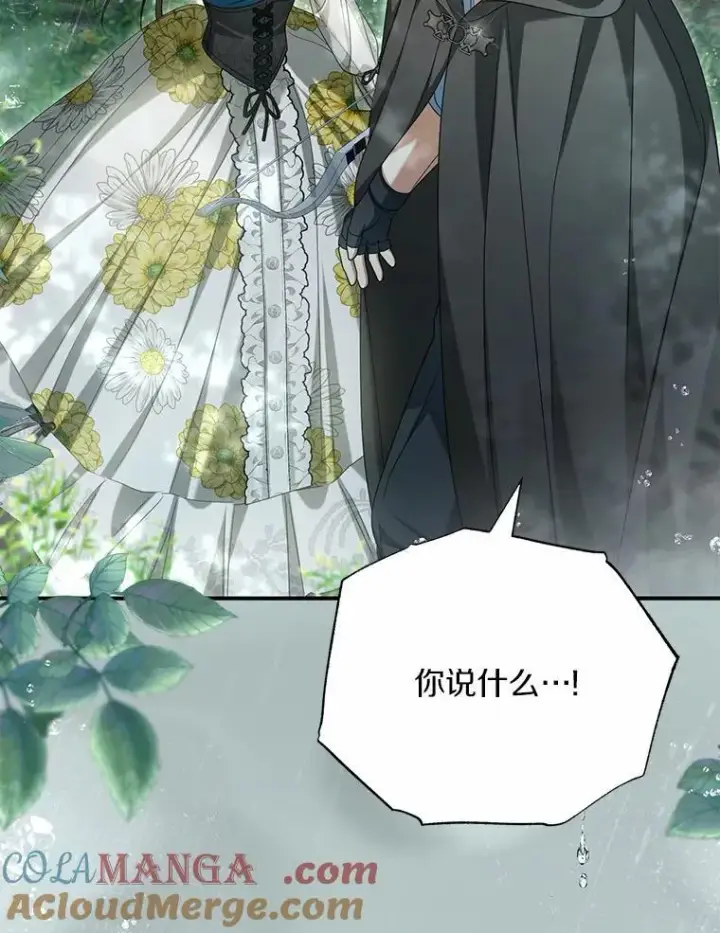 《为何执着于假妻子？》36.制造机会图65