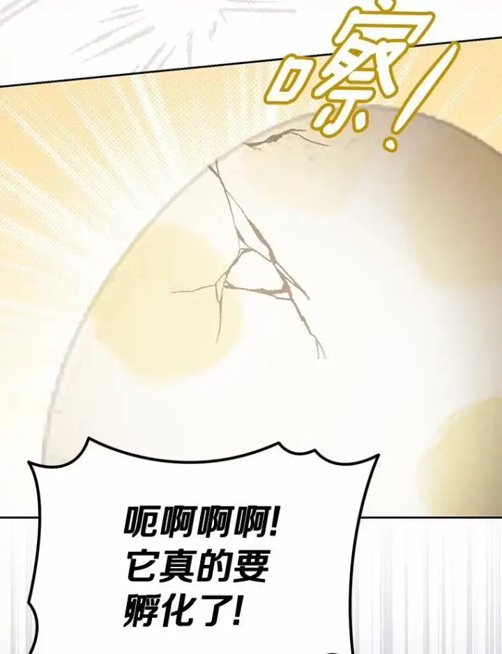 《为何执着于假妻子？》39.礼物图94