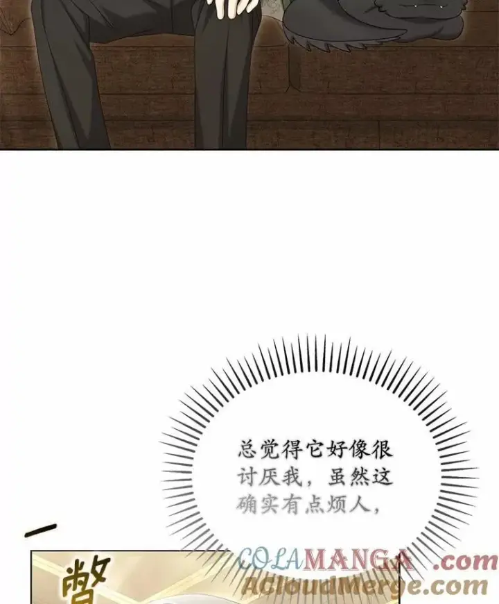 《为何执着于假妻子？》41.试穿图97