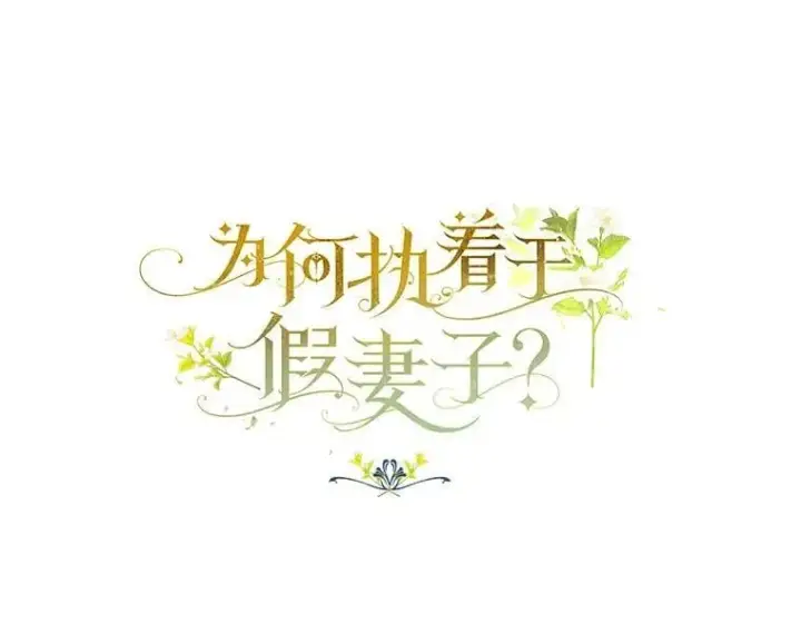 《为何执着于假妻子？》47.对决开始图18