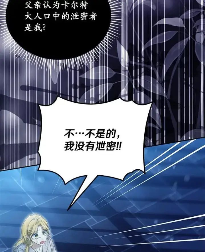 《为何执着于假妻子？》52.并非亲生图18