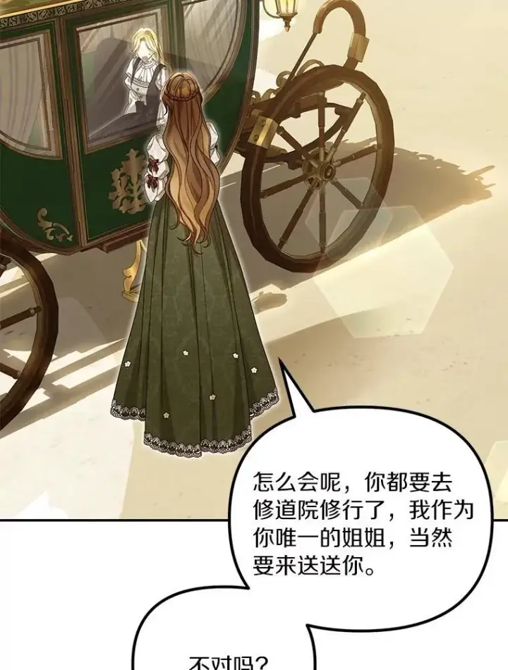 《为何执着于假妻子？》52.并非亲生图51