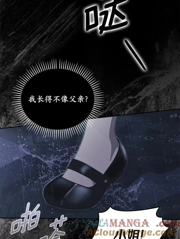 《为何执着于假妻子？》52.并非亲生图81