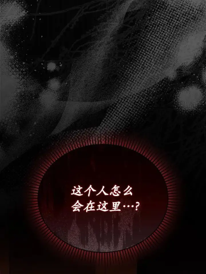 《为何执着于假妻子？》59.最后的机会图60