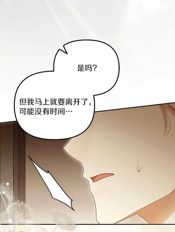 《为何执着于假妻子？》61.离开都城图28