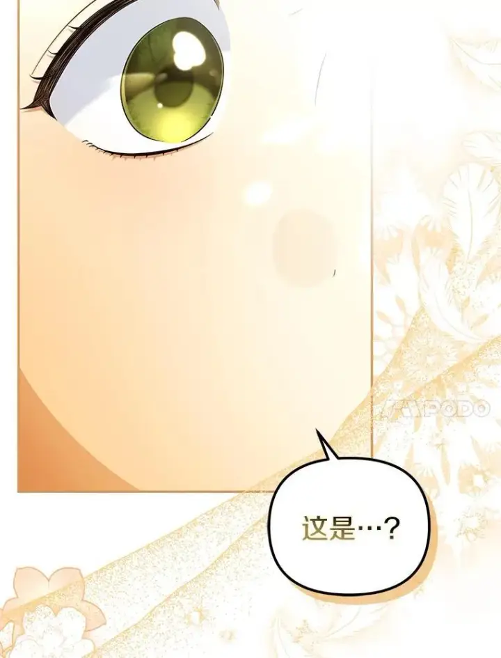 《为何执着于假妻子？》61.离开都城图59