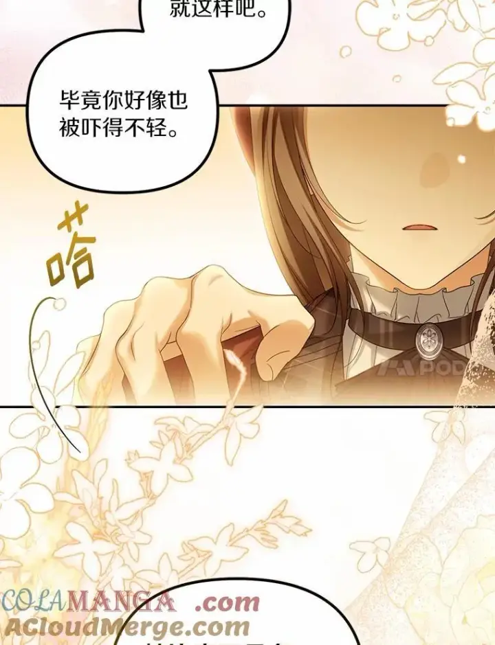 《为何执着于假妻子？》63.回到领地图33