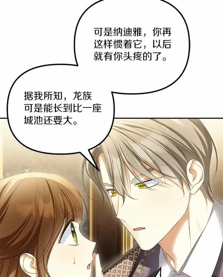《为何执着于假妻子？》63.回到领地图75