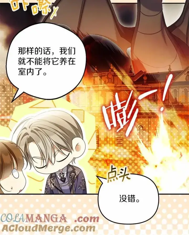 《为何执着于假妻子？》63.回到领地图77