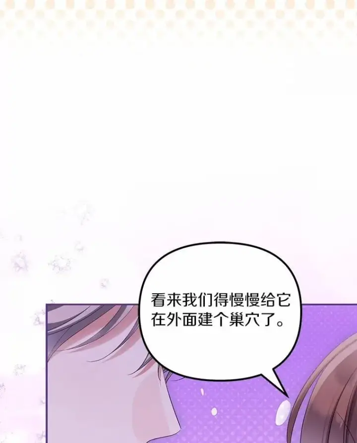 《为何执着于假妻子？》63.回到领地图78
