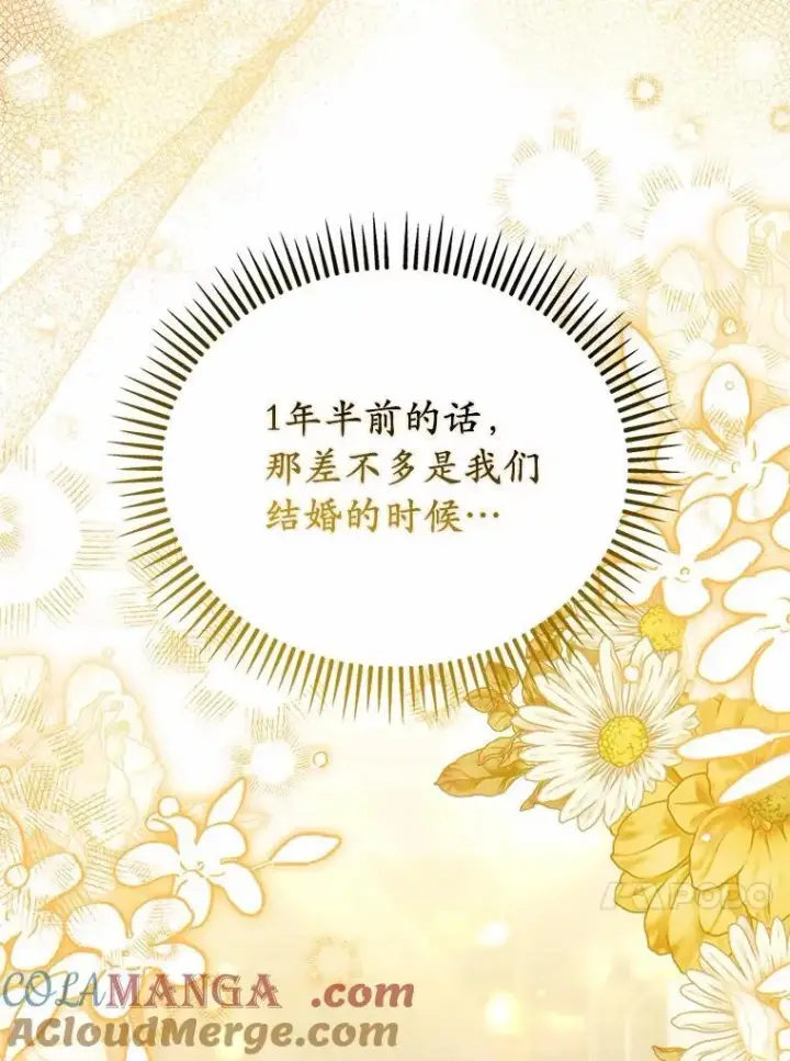 《为何执着于假妻子？》64.我喜欢翡翠图29