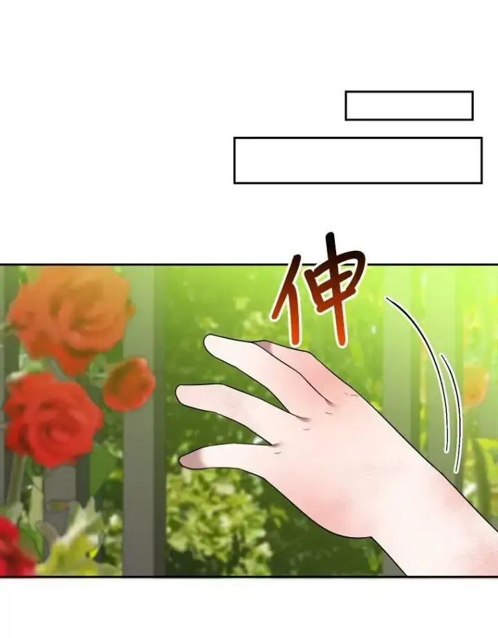 《未来每步都是花路》27.准备图31