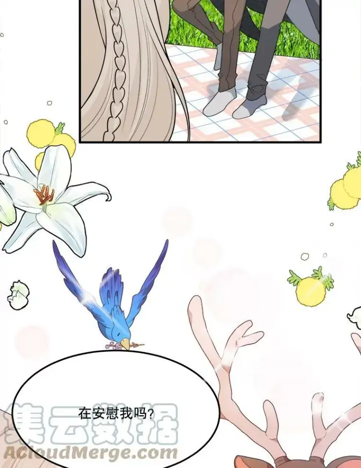 《未来每步都是花路》32.郊游图91