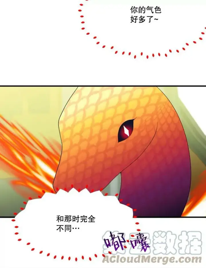 《未来每步都是花路》40.召唤月之大圣灵图69