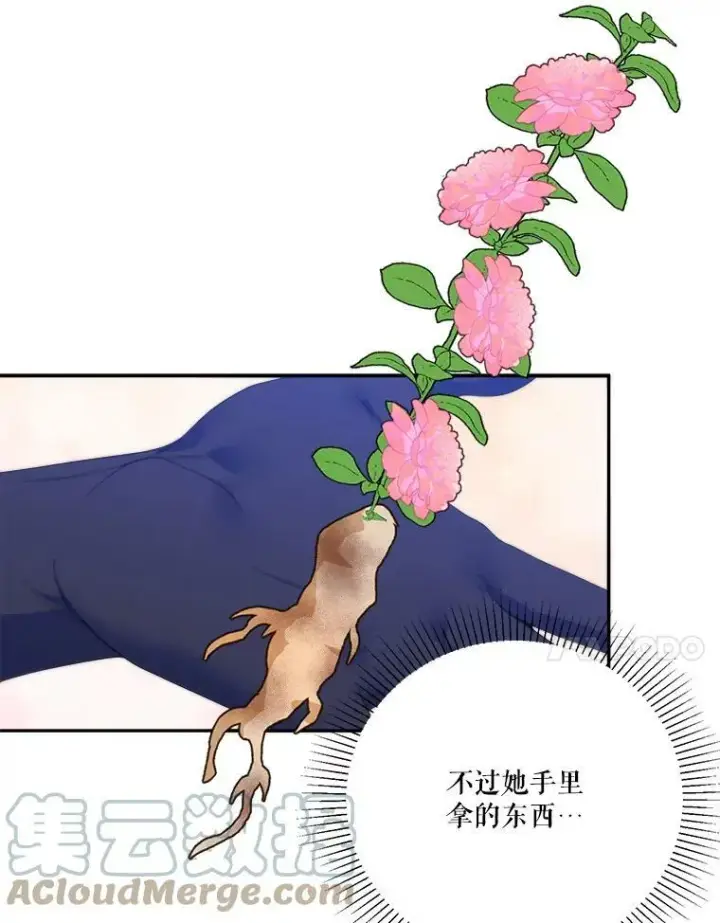 《未来每步都是花路》49.皇帝的礼物图41