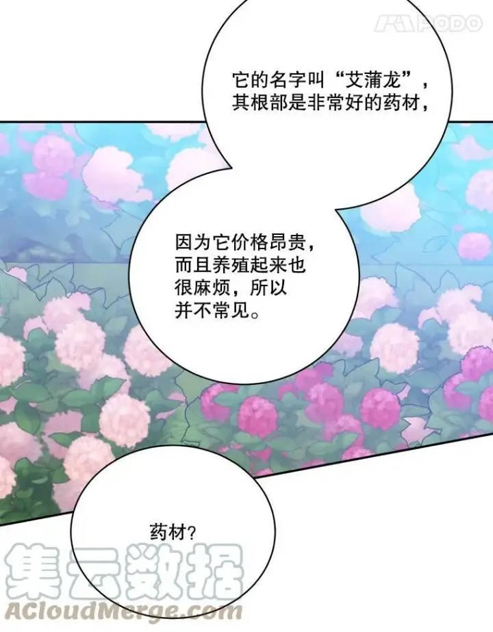《未来每步都是花路》49.皇帝的礼物图45
