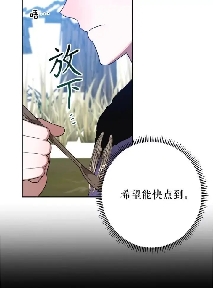 《未来每步都是花路》76.乌贝尔山图42