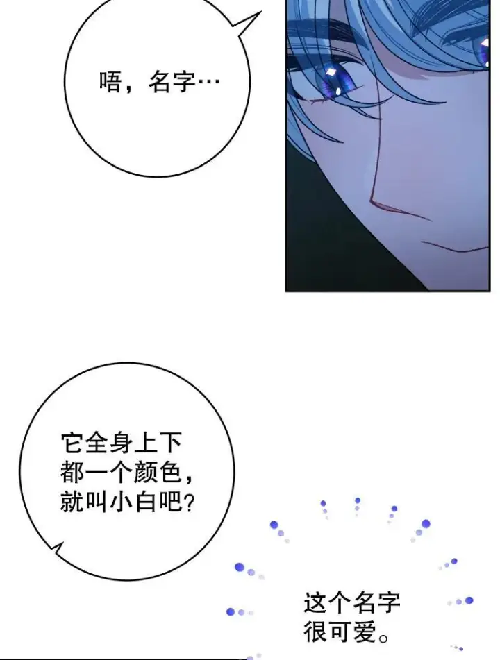 《未来每步都是花路》91.礼物图63