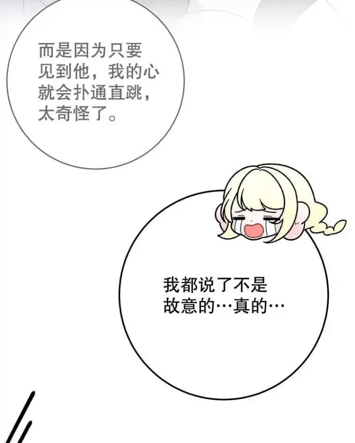 《未来每步都是花路》100.重返博勒特图62