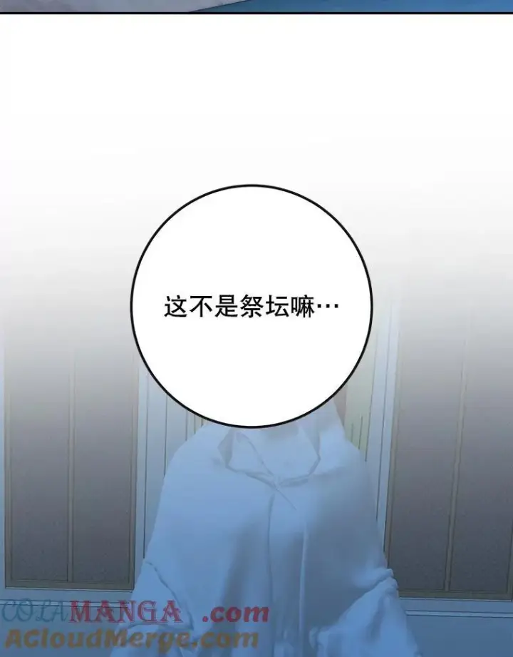 《未来每步都是花路》107.摧毁祭坛图41