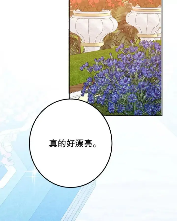 《未来每步都是花路》115.处置方案图10