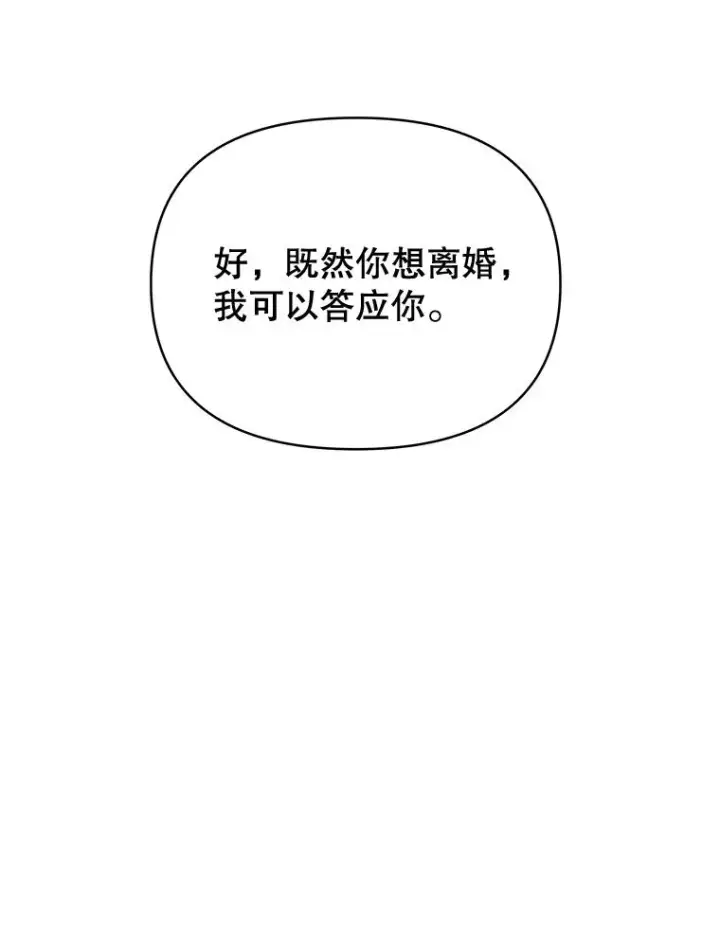 《为了帮助你理解》8.不同意离婚图23