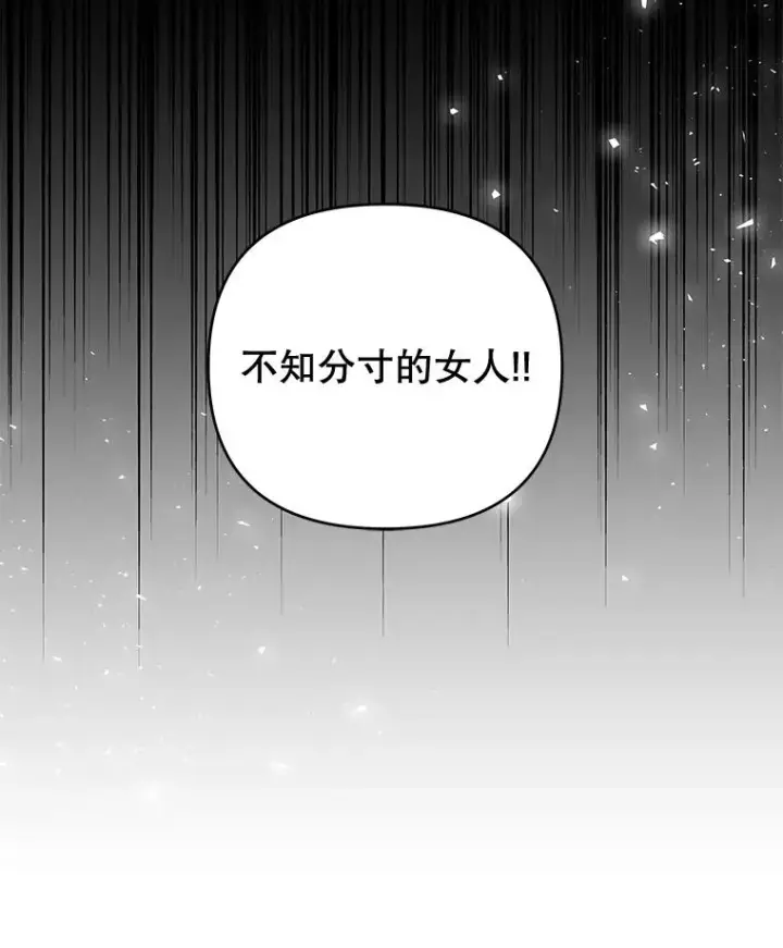 《为了帮助你理解》53.勇气图54