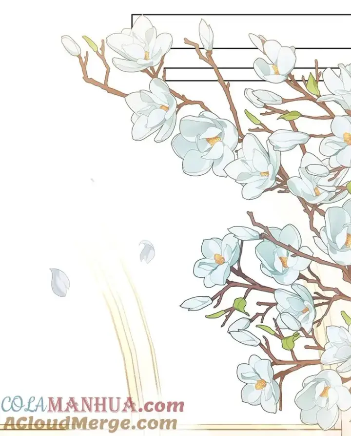 《为了帮助你理解》59.薇尔丽受伤图33