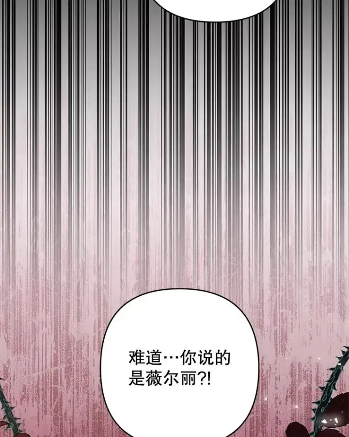 《为了帮助你理解》60.替薇尔丽出头图30