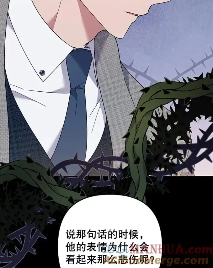《为了帮助你理解》73.短暂的春天图5