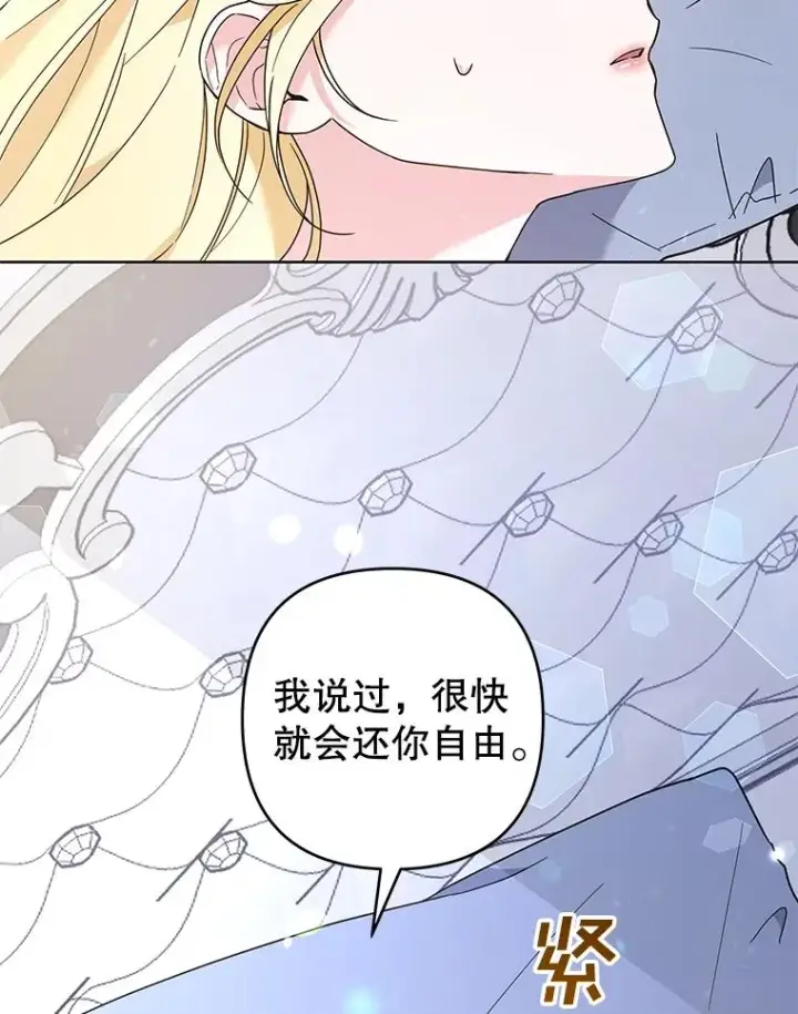 《为了帮助你理解》73.短暂的春天图94
