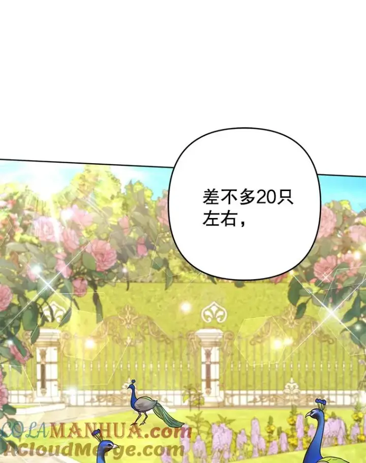 《为了帮助你理解》95.计划结婚典礼图25