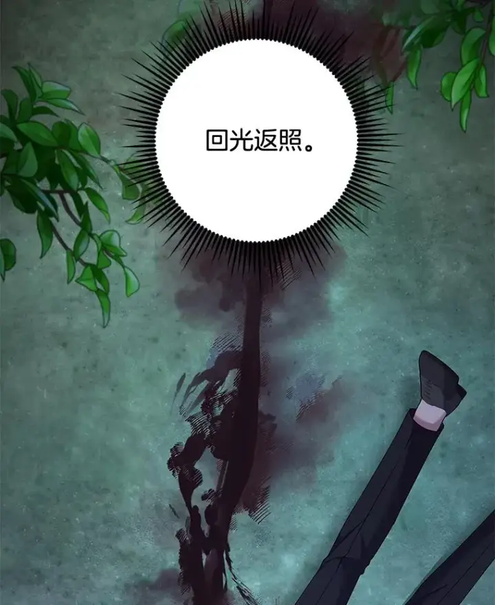 《为了帮助你理解》114.公主，我也爱你。图78
