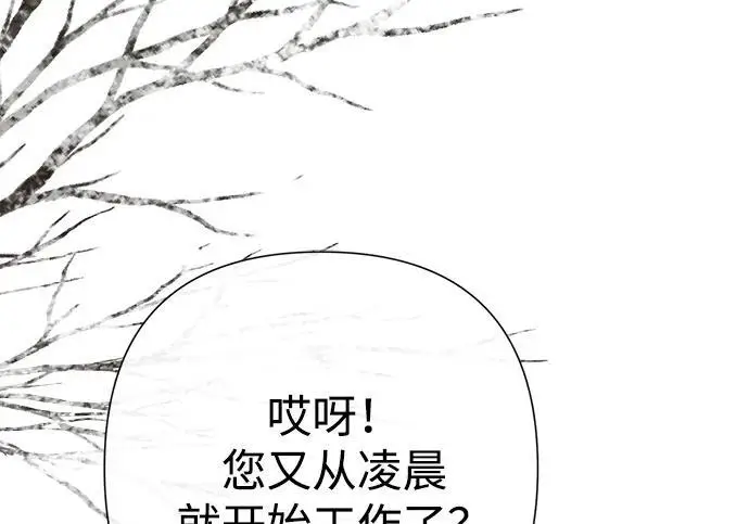 《问题王子》[第128话] 盘踞在巴福特的狼图6